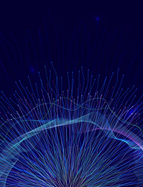 tadas-petrokas-Cu8WOiIzWEc-unsplash (1)